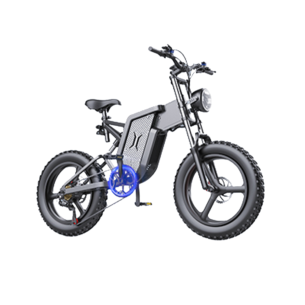 ebike