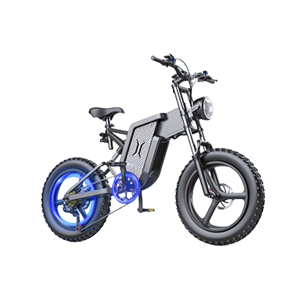 ebike