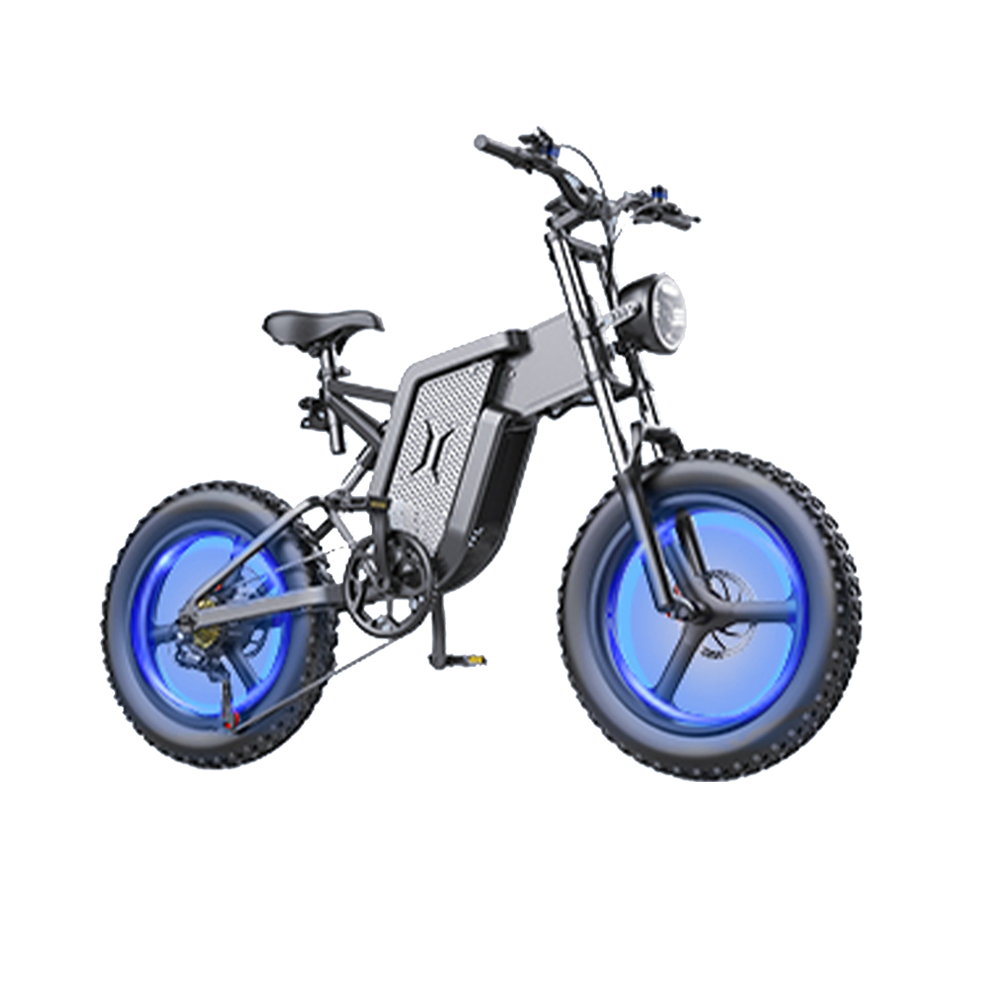 ebike